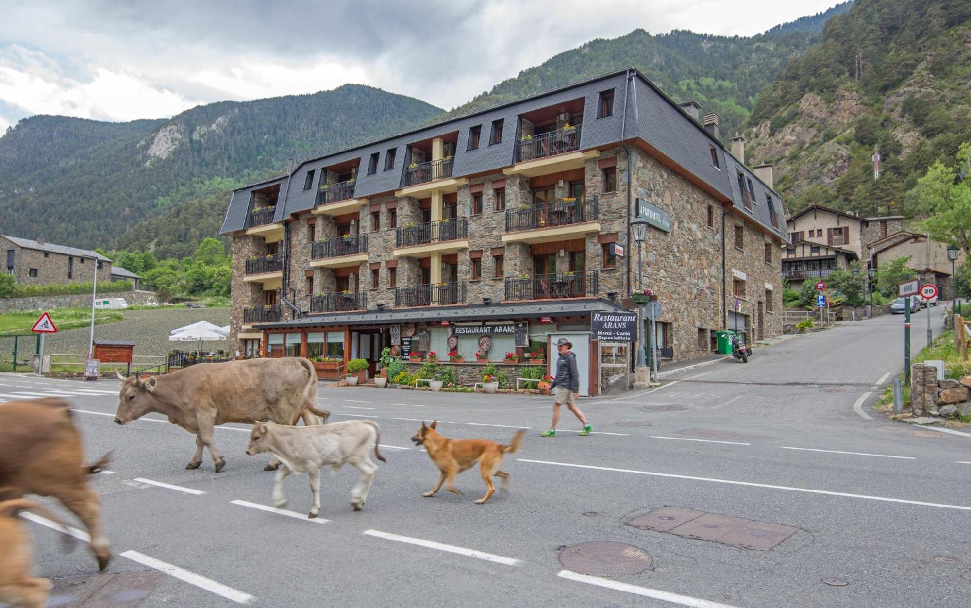 Pierre & Vacances Aparthotel La Tulipa オルディノ エクステリア 写真